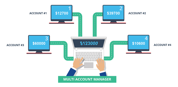 Forex trading MAM account