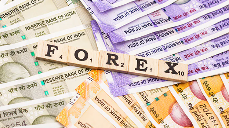 Should India diversify its FX portfolio in the wake of the Russia-Ukraine conflict?