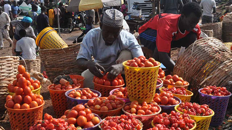 Imports and currency woes are fueling Nigerian food inflation