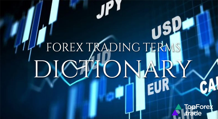Forex trading terms for beginners