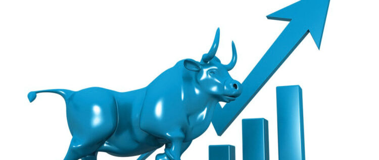 fx bull market causes and its phases