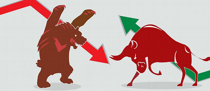 fx market bulls and bears