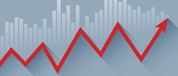 What a novice trader should consider when choosing a financial instrument