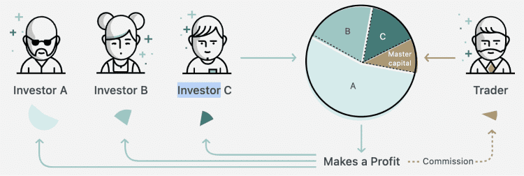 exness social trading account types