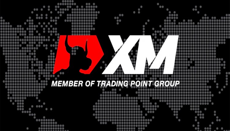 XM operator Trading Point UK grows revenue by 40% in 2023, reduces net loss