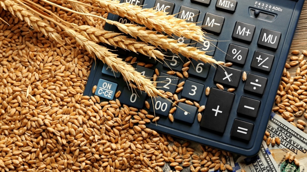 Wheat prices decline as record global supply looms