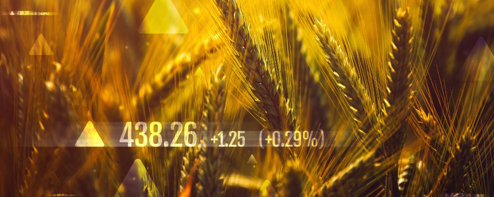 Commodities trading for every season