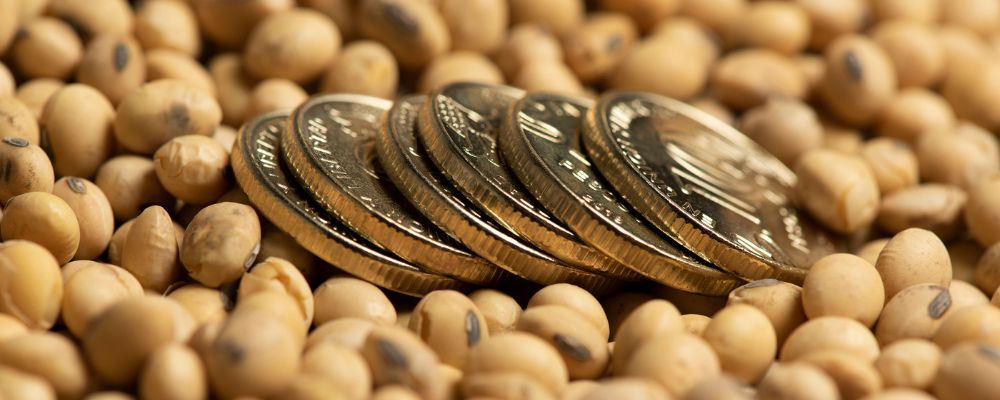 Top trusted brokers for Forex commodities trading